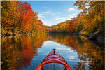 Leaf Peeping
