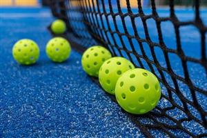 Pickleballs and Net
