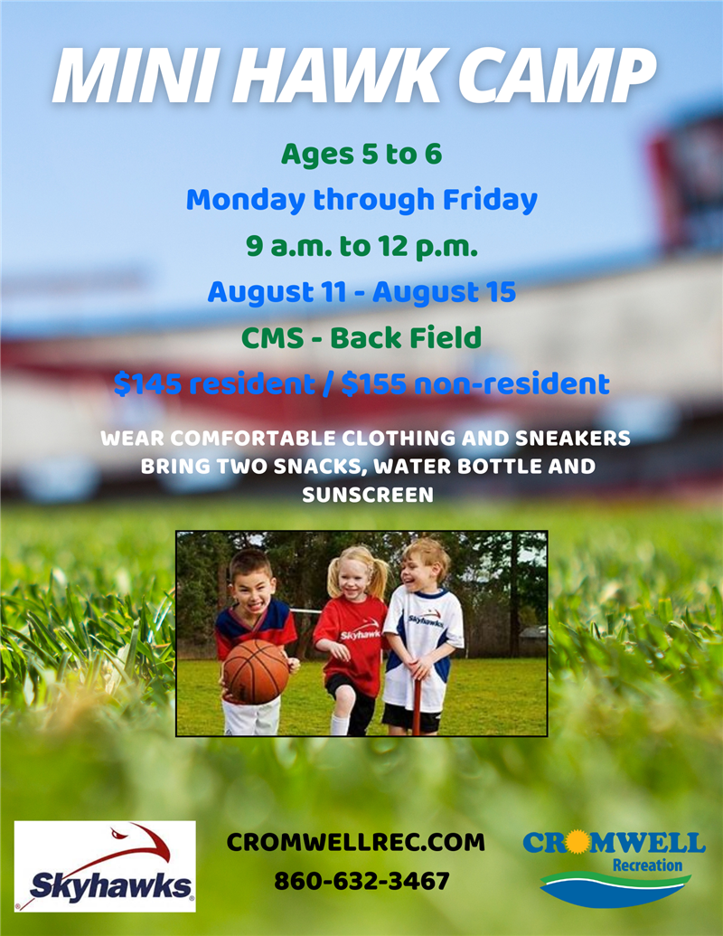 mini hawk camp