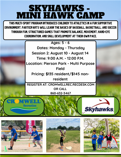 mini hawk camp mini hawk camp